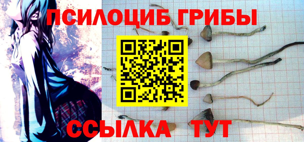 Галлюциногенные грибы GOLDEN TEACHER Корсаков